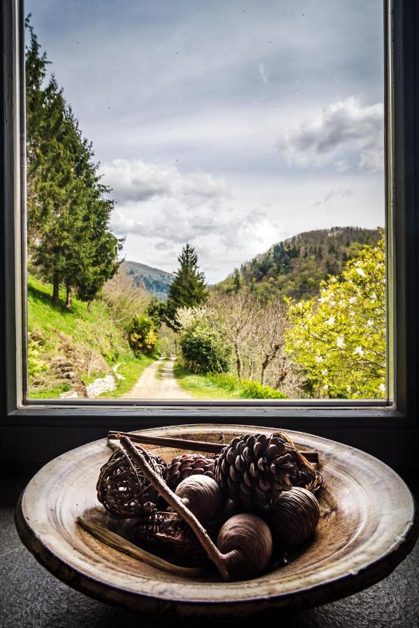 Kuninez, Holiday Home With Summer Kitchen Most na Soči Εξωτερικό φωτογραφία
